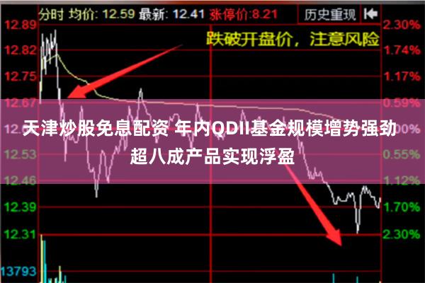 天津炒股免息配资 年内QDII基金规模增势强劲 超八成产品实现浮盈